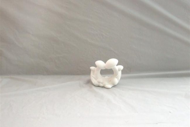 מחזיק מפיות פטריה